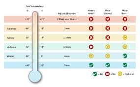 How To Detect Pregnancy In Basal Body Temperature Chart Body