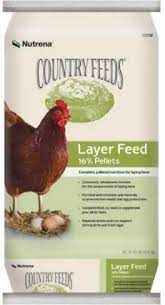 Download Nutrena Country Feeds 16 Layer Pellets Chicken Feed 50 Pounds Amazon Com Grocery Gourmet Food