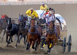Lucrative Calgary Stampede Begins Friday - News
