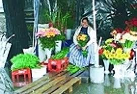 Florarie online cu livrare in bucuresti si ilfov. Primaria Lui Videanu A Legalizat Monopolul Tiganesc Pe Piata Florilor Din Bucuresti