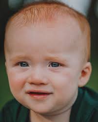 Jakoba German Shepherds added a...