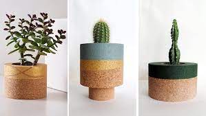modern cork planters are great for showing off succulents and cacti cork planters planters succulents