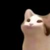 The leaves are falling, the first real snowfall of the year has hit certain parts of the world, and the internet has a new. Https Encrypted Tbn0 Gstatic Com Images Q Tbn And9gcqwyzyvduy5fglraxaswuj4jgqlqytzyt5j8cq Pvm Usqp Cau