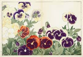Pansy Antique Print Map Room Pansies Japanese Woodblock Printing Japanese Art