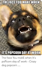 ITS POPCORN DAY AT WORK Emegeneratorne the Face You makE When It's poPcorn  Day aT Work - Crazy Dog Popcorn | Crazy Meme on ME.ME