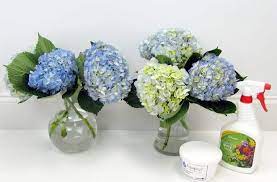 Maybe you would like to learn more about one of these? How To Care For Fresh Cut Flowers Blooms By The Box