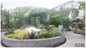 It's only open on weekends and public holidays. Urban Green Spaces Secret Garden Upper Roof 1 Utama Eris Goes To