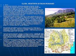 Are opinie, și ca editorialist, și ca moderator. Pozitia Geografica A Romaniei Prezentaciya Onlajn