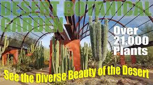 Maybe you would like to learn more about one of these? Desert Botanical Garden Phoenix Arizona Rv Travel Destination Youtube