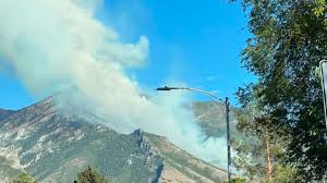 Donna cerca uomo ostiglia