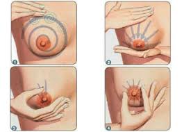 Penelitian menunjukkan bahwa salah satu cara terbaik untuk meningkatkan pertumbuhan payudara adalah dengan minum campuran dari jus pepaya dan susu. Cara Laki Laki Membesarkan Payudara Perempuan Yang Kecil Tutorialin