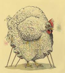Chickens Once Had A Life Expectancy Of 15 To 20 Years But The Modern Broiler Is Typically Killed Around 6 Weeks 37 To 42 Days Bird Art My Drawings Chickens