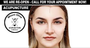 Hackettstown Life October 2024 by My Life Publications..Maljon LLC