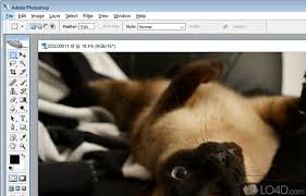 Adobe Photoshop Cs2 Download Photoshop Adobe Photoshop Adobe Creative Suite