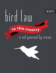 Bird Law Always Sunny Quotes Its Always Sunny Bird Law Poster Wall Art Diy By Fishermansporch 10 00 It S Always Sunny Poster Wall Art Poster Wall