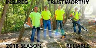 Rodrigo lawn care in lakeland, fl. Lac Lawn Care Lawn Care Company