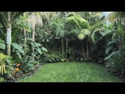 Tropical plant conservatory and rare plant house. Small Tropical Gardens Around The Globe Youtube