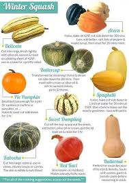Squashes Delicata Buttercup Acorn Butternut Red Kuri Kabocha Spaghetti Winter Squash Recipes Squash Recipes Vegetables