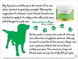 Pin On Essential Oils