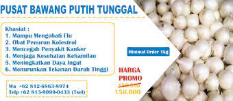 Update mei 2021 ✅ harga bawang putih terbaru bulan ini. Wa 62 812 6863 8974 Jual Bawang Putih Tunggal Bandung Manado Makassar Balikpapan