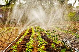 22 hours ago · o dia do agricultor é celebrado em 28 de julho, data criada em razão de ter sido nesse dia, em 1960, a fundação do ministério da agricultura, no mandato de juscelino kubitschek. Vv4jbbtiug0zvm