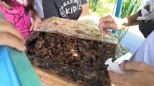 We did not find results for: Hulu Langat Home Stay Eco Farm Kuala Lumpur Malaysia Vacation Home Rental Facebook