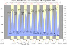 tide times and tide chart for lobeco whale branch