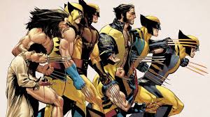 Image result for wolverine