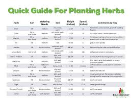 Simple Tips From Planting Harvesting And Storing Herbs