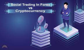 Crypto trading follows a similar concept. Social Trading In Forex Vs Crypto Learn The Major Differences And Similarities