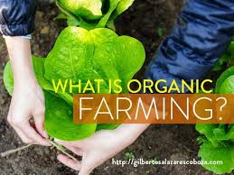 Organic Farming (School)