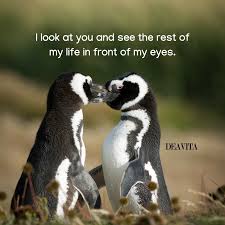 See more ideas about penguin love, penguins, penguin love quotes. 60 Love Quotes For Her And Romantic Ways To Say I Love You