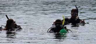 Richards students earn diving certification | Oak Lawn, IL Patch