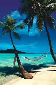 2 sculpt palms with hammock for couples, smooth swing movement. 330 Beach Palm Trees Pineapples Ideas In 2021 Palm Trees Palm Tree Sunset Pineapple Images