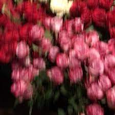 Travelers favorites include #1 east beach, #2 old mission santa barbara and more. Whitehousefloristsb Explore Facebook