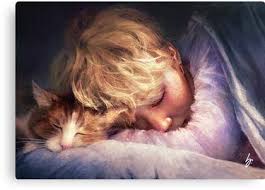 The Boy With The Cat Canvas Print By Graphicfighter In 2021 Fan Art Jimin Fanart Bts Fanart