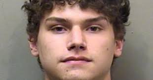 Cook County man charged with selling drugs in McLean County