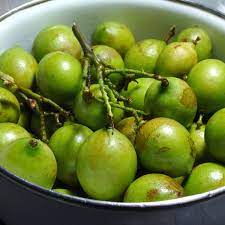 By consensus of the thread, the answer is feijoa, also known as pineapple guavas! Mamoncillo A Tangy Tropical Fruit Kitchn