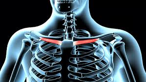 The exercises can be performed while lying on your back (to provided assisted support) or in the seated or standing position. Tip Fix This Tiny Muscle To Relieve Neck Pain T Nation
