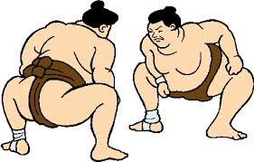 Image result for luchadores de sumo