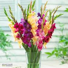 We did not find results for: 1001 Ideas For Flower Arrangements To Decorate Your Home This Spring