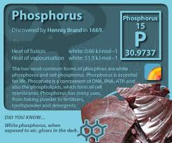 Periodictableofelements Periodictable Phosphorus Chemistry Basics Teaching Chemistry Organic Chemistry
