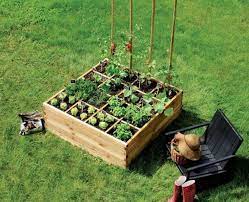 Ini juga akan mengurangi emisi co2 dan pemborosan kemasan. 6 Ide Membuat Kebun Sayur Mini Di Rumah Bisa Menghemat Uang Belanja