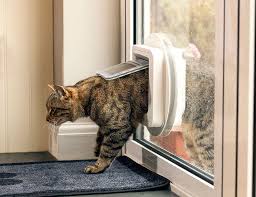 This cat door makes a loud repetitive annoying click everytime the button depresses or comes back up that blocks the cat flap from moving. Sureflap Microchip Cat Door Review Cat Flap Cat Door Cat Pet Supplies