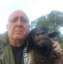 Sitting in a beer garden in the rain. We're in Yorkshire, can you tell?.  Anyway I noticed the wheelchair ramp