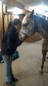 Profile for Team Amanda