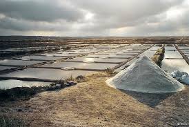 Fichier Mulon De Sel A Guerande Jpg Geneawiki Europa