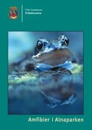 As a tadpole grows, the tail disappears and legs begin to form. Rumpetroll