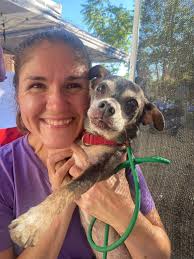 Frosted Faces Foundation open house event