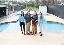 Photos, address, and phone number, opening hours, photos, and user reviews on yandex.maps. Pet Paradise New Orleansface Of Pet Care My New Orleans